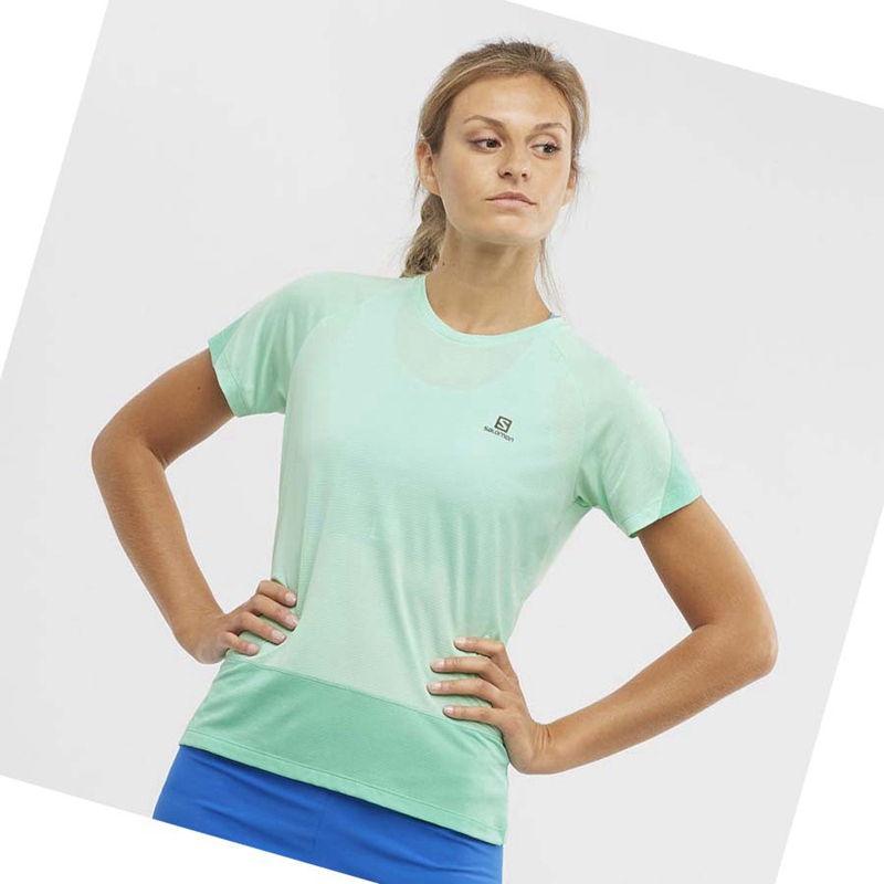 Camiseta Salomon CROSS RUN Mujer Verde | QPRAHIB-20