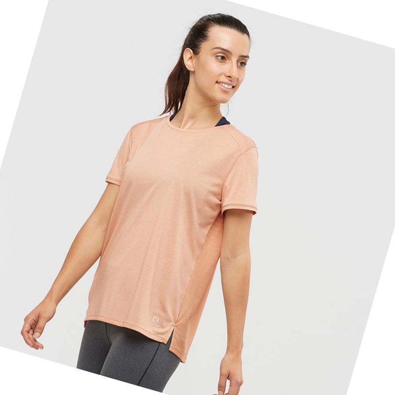 Camiseta Salomon OUTLINE SUMMER Mujer Beige | JATMXRW-73