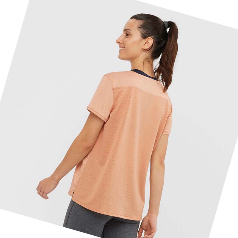 Camiseta Salomon OUTLINE SUMMER Mujer Beige | JATMXRW-73