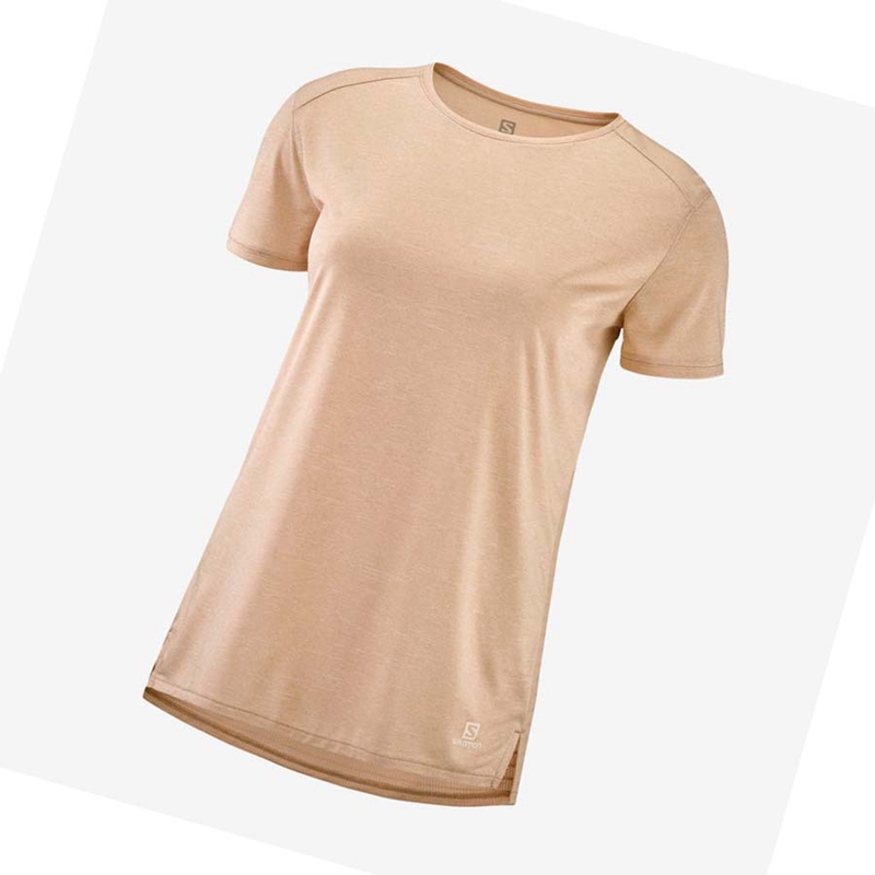 Camiseta Salomon OUTLINE SUMMER Mujer Beige | JATMXRW-73