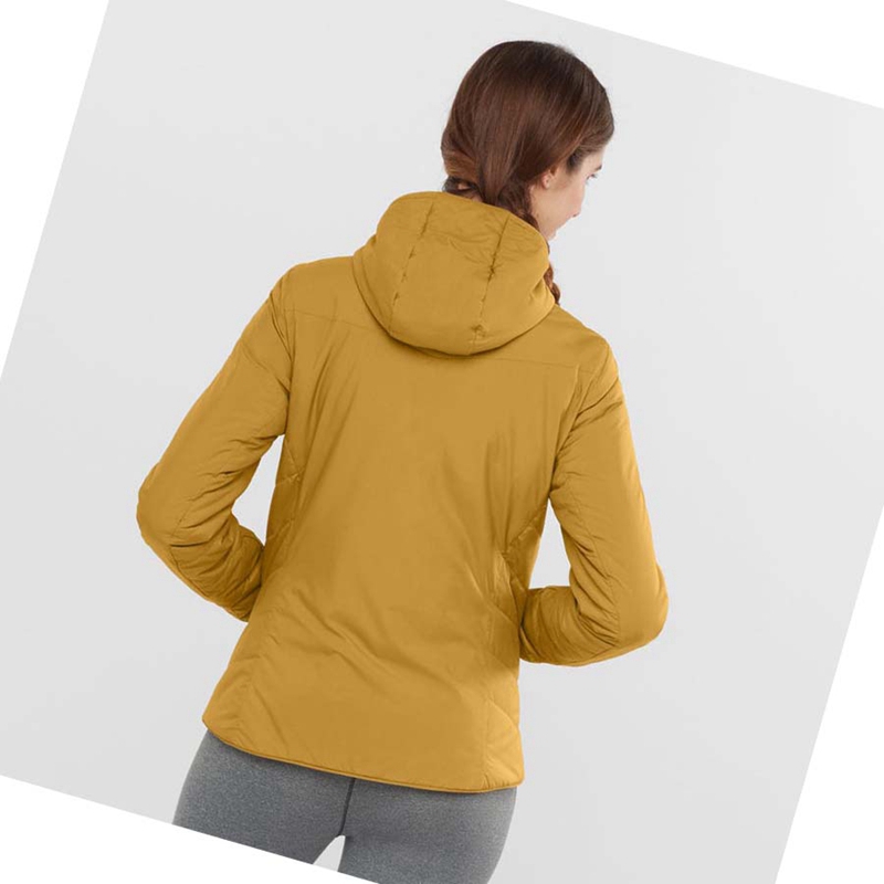 Chaquetas Salomon OUTRACK INSULATED Mujer Amarillo | UCYLFIG-80