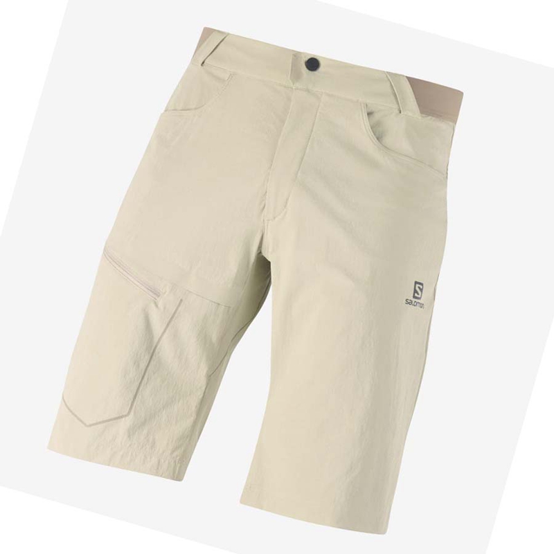 Pantalones Cortos Salomon WAYFARER Hombre Beige | UYGSXNO-87