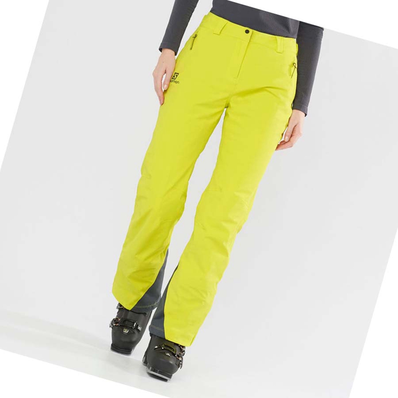 Pantalones De Esquí Salomon THE BRILLIANT Mujer Verde | DWFVTMQ-19