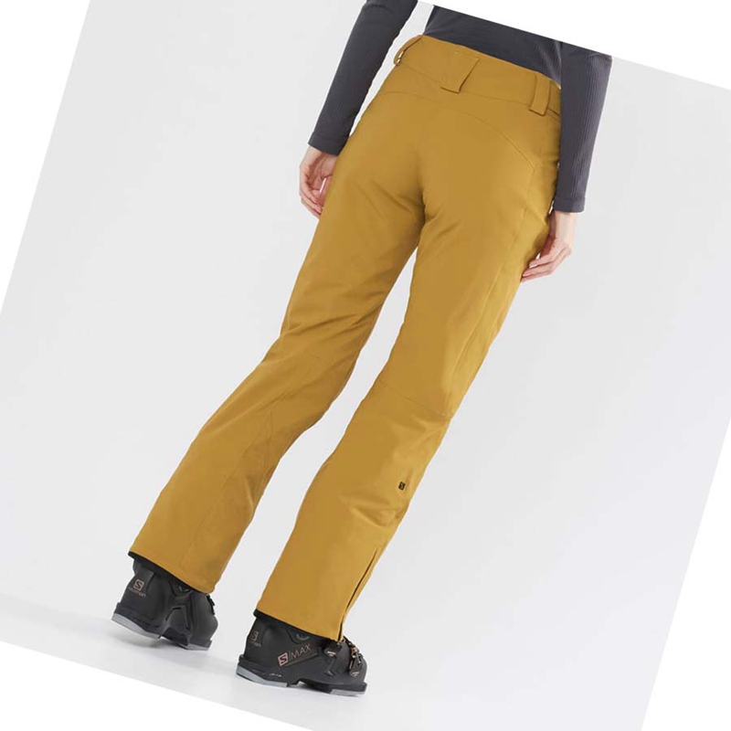 Pantalones De Esquí Salomon THE BRILLIANT Mujer Marrones | ITKPYVE-41