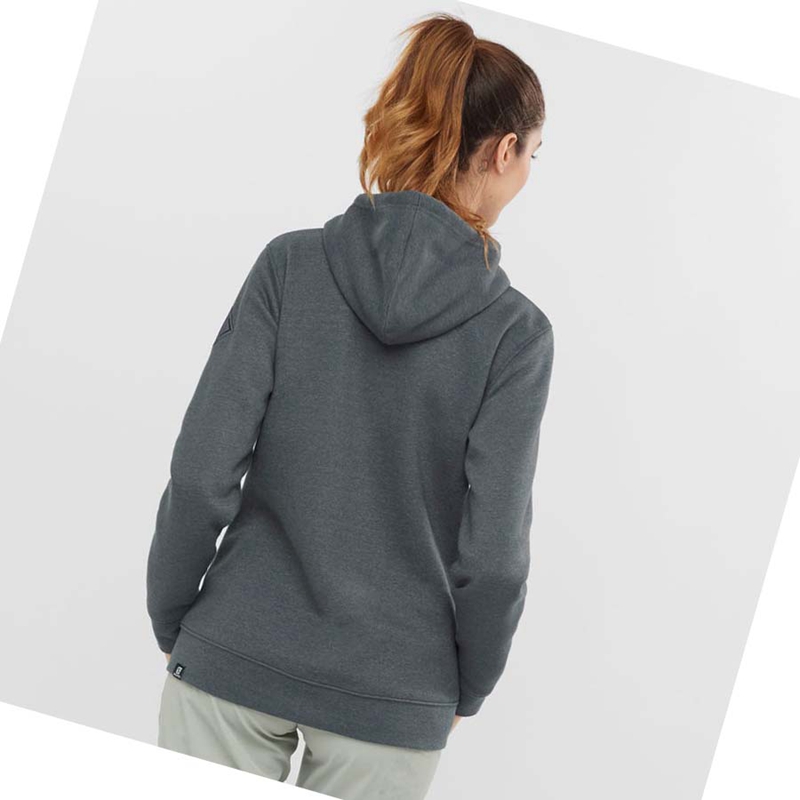 Sudadera Con Capucha Salomon ESSENTIAL WARM SALOMON Mujer Gris | TVNGBRP-89