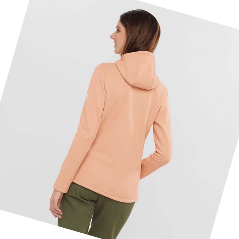 Sudadera Con Capucha Salomon ESSENTIAL XWARM Mujer Rosas | MSONIEW-43