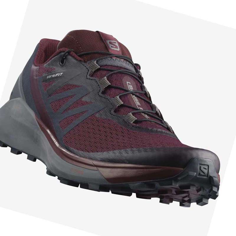 Zapatillas De Trail Running Salomon SENSE RIDE 4 Mujer Moradas | NEJZUGA-46