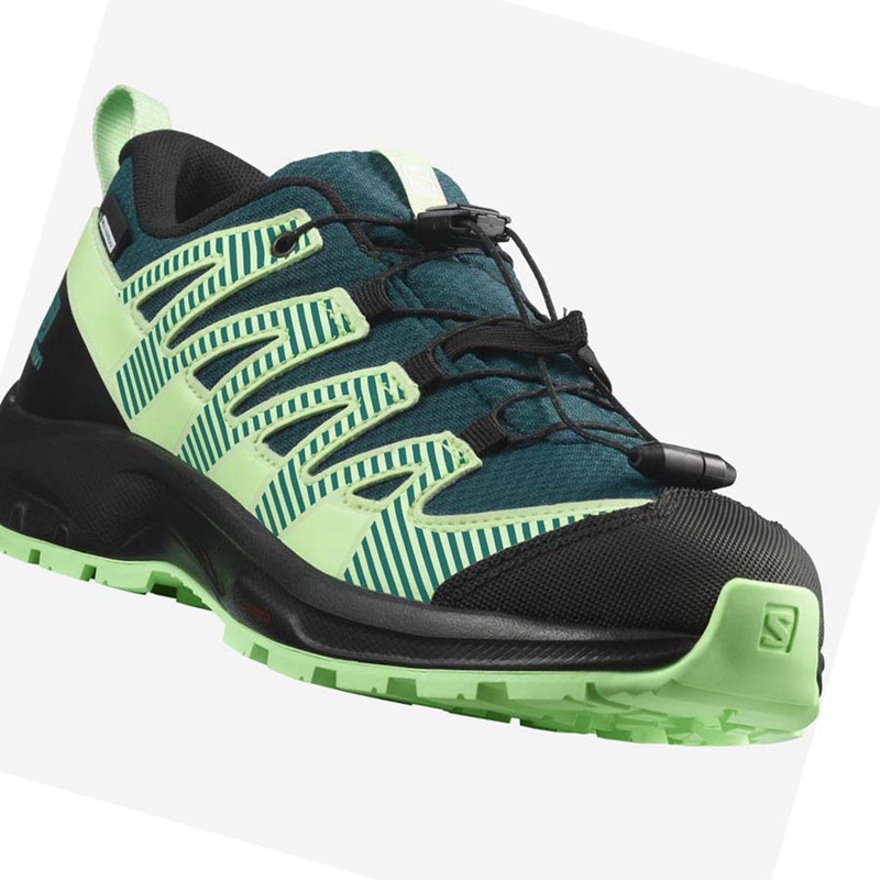 Zapatillas De Trail Running Salomon XA PRO V8 CLIMASALOMON™ WATERPROOF Niños Verde | ILVZQUP-85