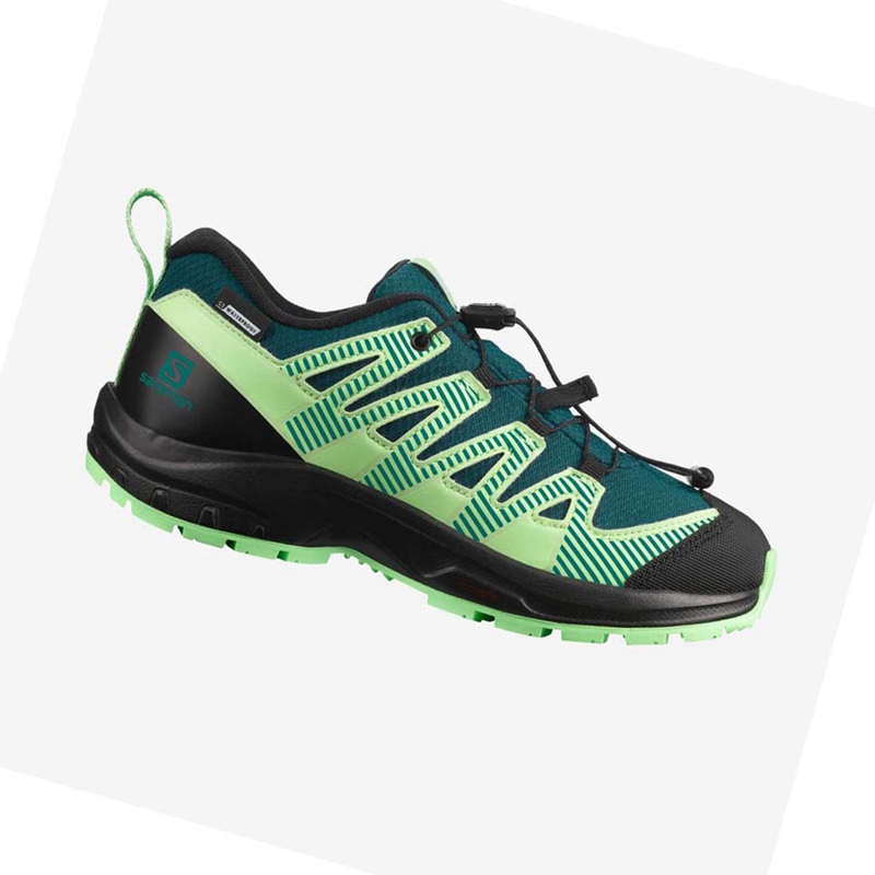 Zapatillas De Trail Running Salomon XA PRO V8 CLIMASALOMON™ WATERPROOF Niños Verde | ILVZQUP-85