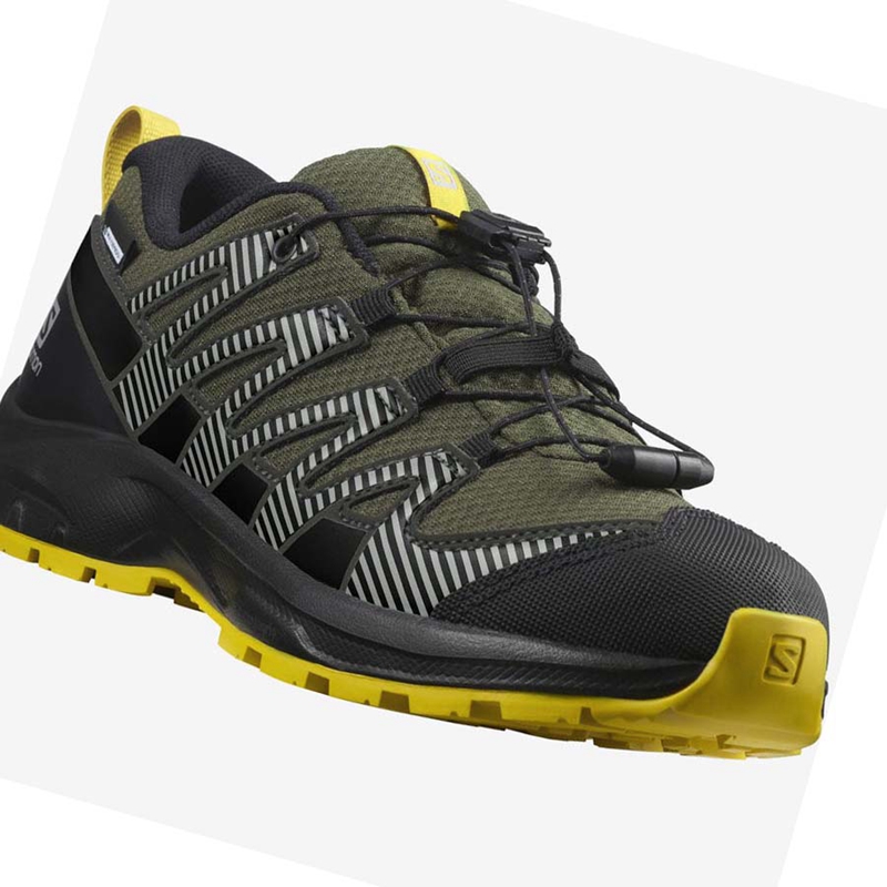 Zapatillas De Trail Running Salomon XA PRO V8 CLIMASALOMON™ WATERPROOF Niños Verde Oliva | PEXNWZY-62