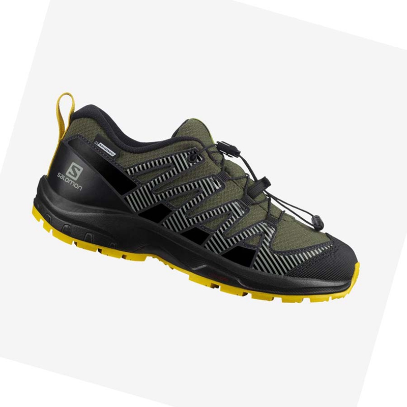 Zapatillas De Trail Running Salomon XA PRO V8 CLIMASALOMON™ WATERPROOF Niños Verde Oliva | PEXNWZY-62