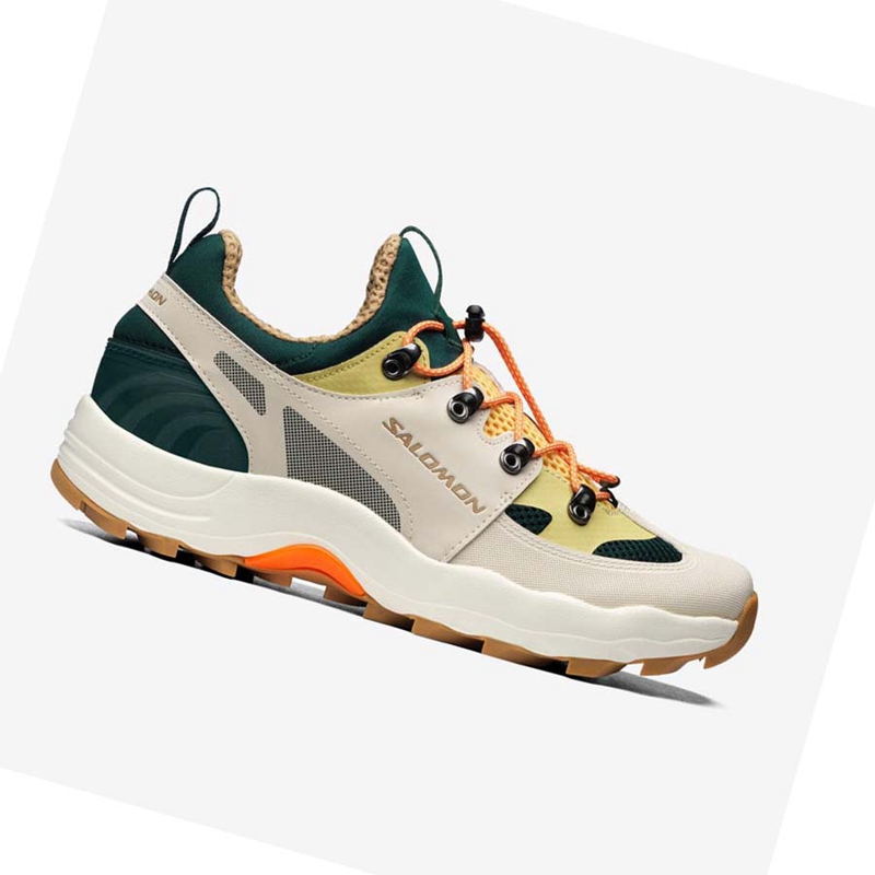 Zapatillas Salomon RAID WIND Mujer Beige | HFUJNGE-54