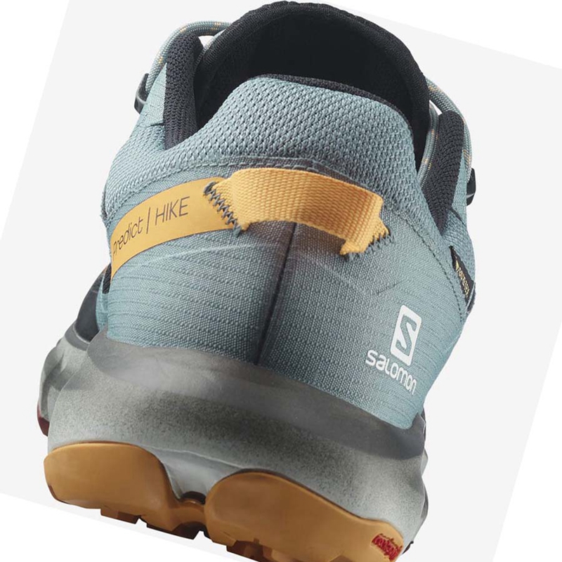 Zapatos De Senderismo Salomon PREDICT HIKE GORE-TEX Hombre Negras Naranjas | FKQMGJZ-48