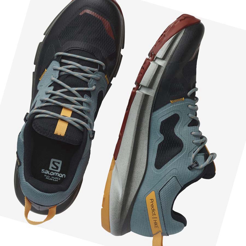 Zapatos De Senderismo Salomon PREDICT HIKE GORE-TEX Hombre Negras Naranjas | FKQMGJZ-48