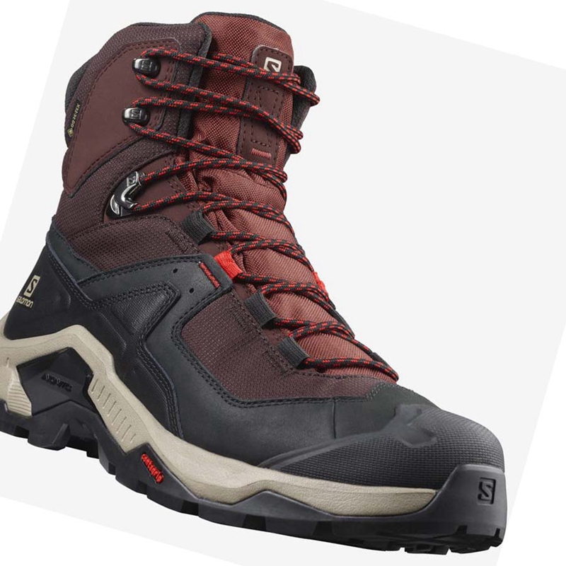 Zapatos De Senderismo Salomon QUEST ELEMENT GORE-TEX Hombre Gris Rojas | EULINQP-01