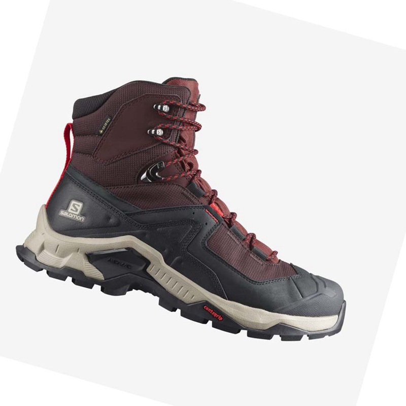 Zapatos De Senderismo Salomon QUEST ELEMENT GORE-TEX Hombre Gris Rojas | EULINQP-01