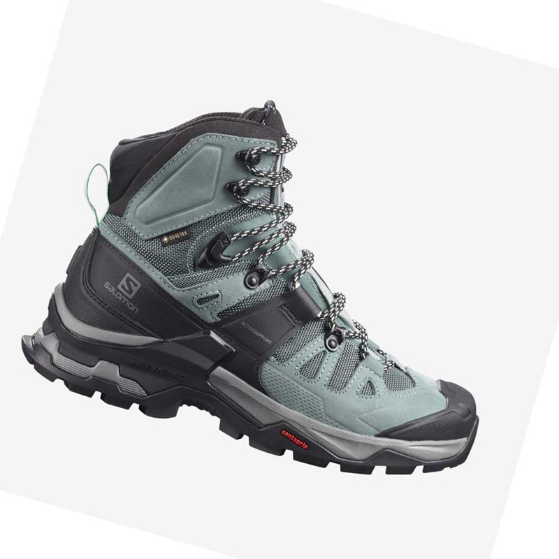 Zapatos De Senderismo Salomon WoQUEST 4 GORE-TEX Mujer Azules | QAXPJKG-32