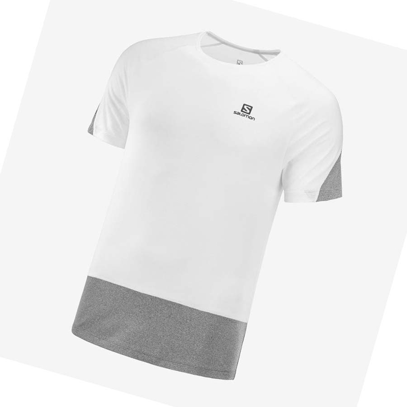 Camiseta Salomon CROSS RUN Hombre Blancas | ZISDVUE-81