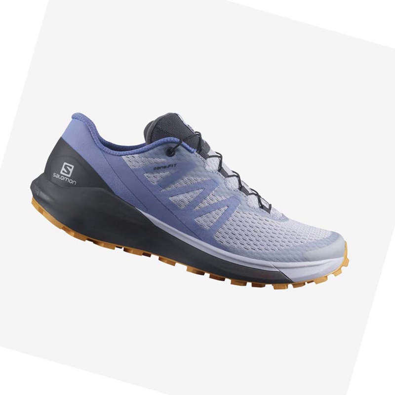 Zapatillas De Trail Running Salomon SENSE RIDE 4 Mujer Azules | ANKGMHS-34