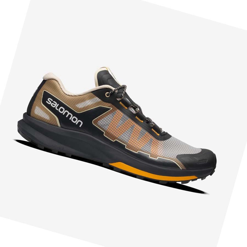 Zapatillas Salomon ULTRA RAID Hombre Marrones Plateadas | IXHEVSC-20