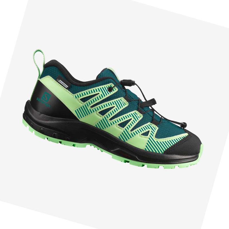 Zapatos De Senderismo Salomon XA PRO V8 CLIMASALOMON™ WATERPROOF Niños Verde | BCKWFZQ-91